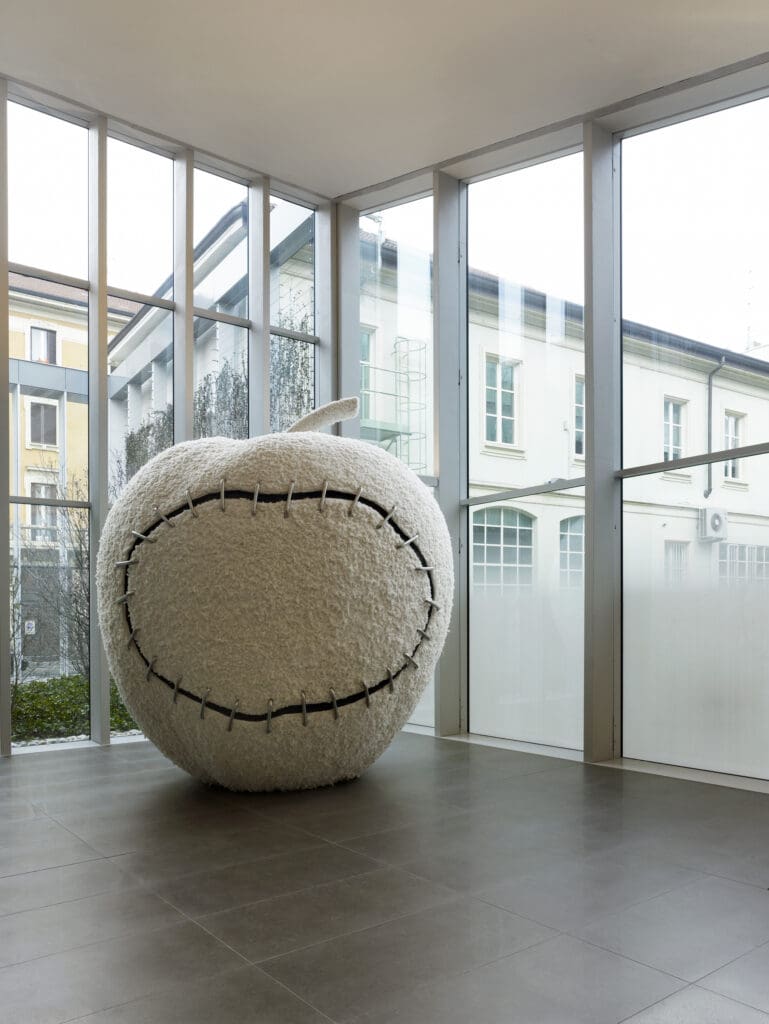 Woolen The Reinstated Apple 2007 Michelangelo Pistoletto ph Leo Torri