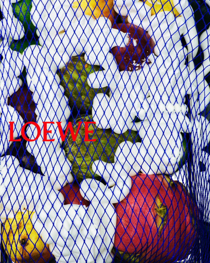 ロエベ(LOEWE)、ジャック・マッコローとラザロ・ヘルナンデスによる初の2026春夏キャンペーンを公開 9 unnamed 3 1