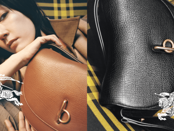 Mizukawa Asami Burberry