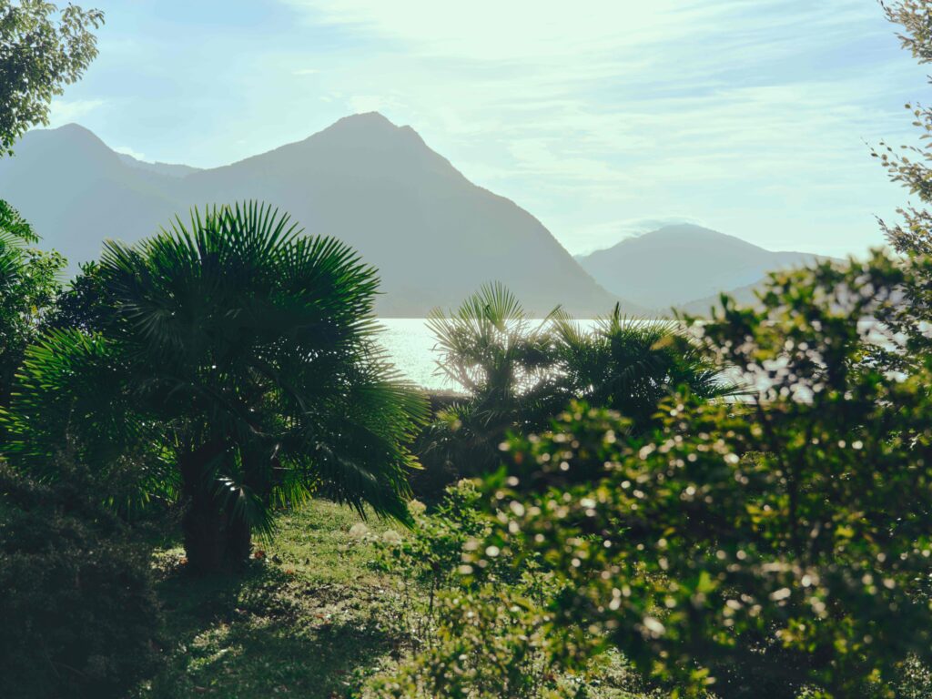 ZEGNA SUMMER 2026 MOOD ATMOSPHERE 3