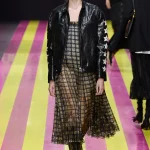 00034 christian dior spring 2024 ready to wear
