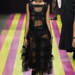 00039 christian dior spring 2024 ready to wear