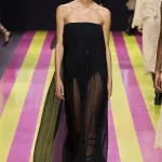 00074 christian dior spring 2024 ready to wear