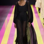 00075 christian dior spring 2024 ready to wear