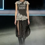 00069 christian dior fall 2025 ready to wear