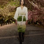 00024 christian dior pre fall 2025