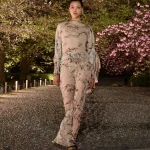 00026 christian dior pre fall 2025