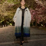 00037 christian dior pre fall 2025