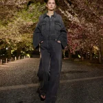 00045 christian dior pre fall 2025