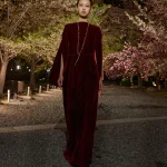 00067 christian dior pre fall 2025